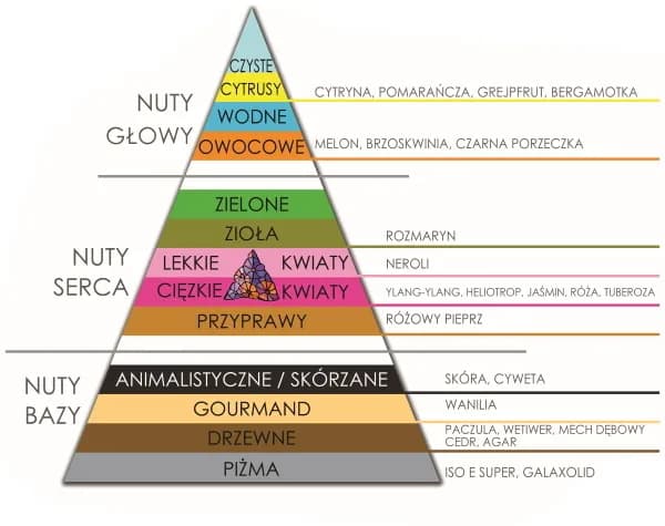 Co oznaczają nuty w perfumach? Klucz do idealnego zapachu